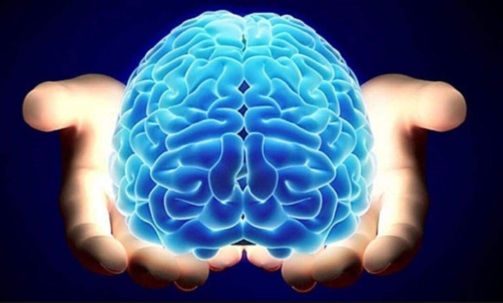 manos que sujetan un cerebro